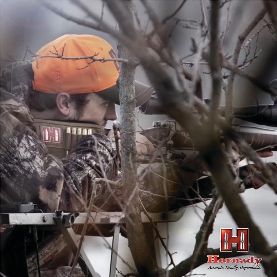 (image for) Hornady American Whitetail Rifle Ammunition 6.5 Creedmoor 129 gr. SP 2820 fps 20/ct