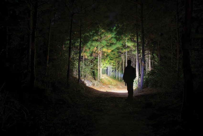 (image for) O-Light Baton Turbo Flashlight Blk CW