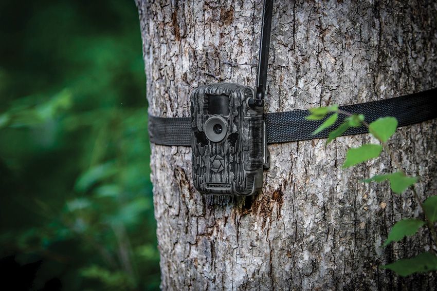 (image for) Stealth Cam Fusion™ Max 2.0 Cellular Trail Camera