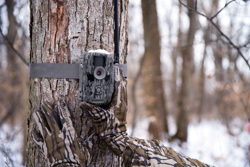 (image for) Stealth Cam Fusion™ Max 2.0 Cellular Trail Camera