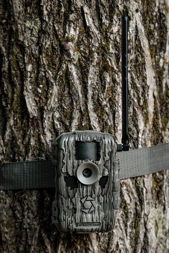 (image for) Stealth Cam Fusion™ Max 2.0 Cellular Trail Camera